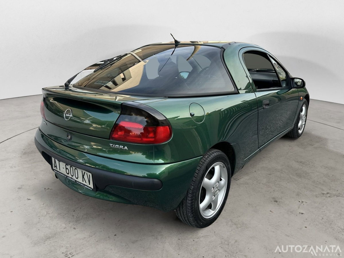 Opel Tigra 16V cat Rio Verde (5)