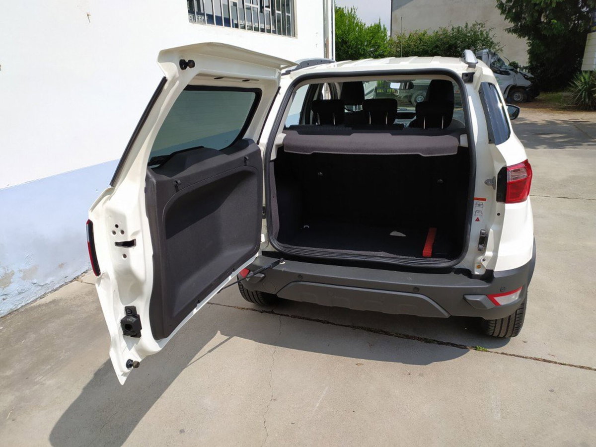 Ford EcoSport 1.5 TDCi 95 CV Plus (15)