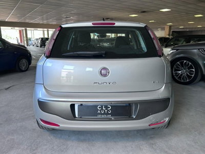 Fiat Punto Evo 1.2 5 porte Dynamic (3)