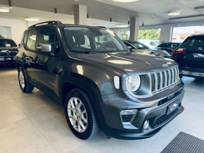 Jeep Renegade 1.3 T4 DDCT Limited (3)