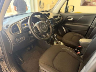 Jeep Renegade 1.3 T4 DDCT Limited (6)
