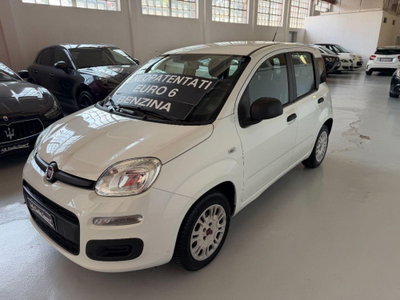 Fiat Panda 1.2 Lounge usata