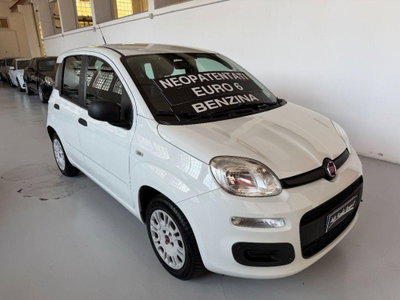 Fiat Panda 1.2 Lounge (3)
