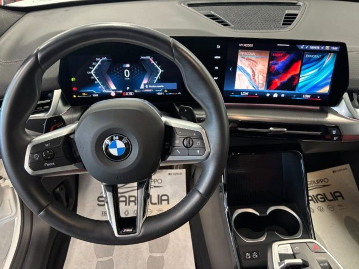 BMW X2 sdrive 18d MSport Pro auto (10)