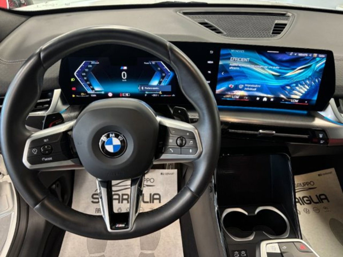 BMW X2 sdrive 18d MSport Pro auto (12)