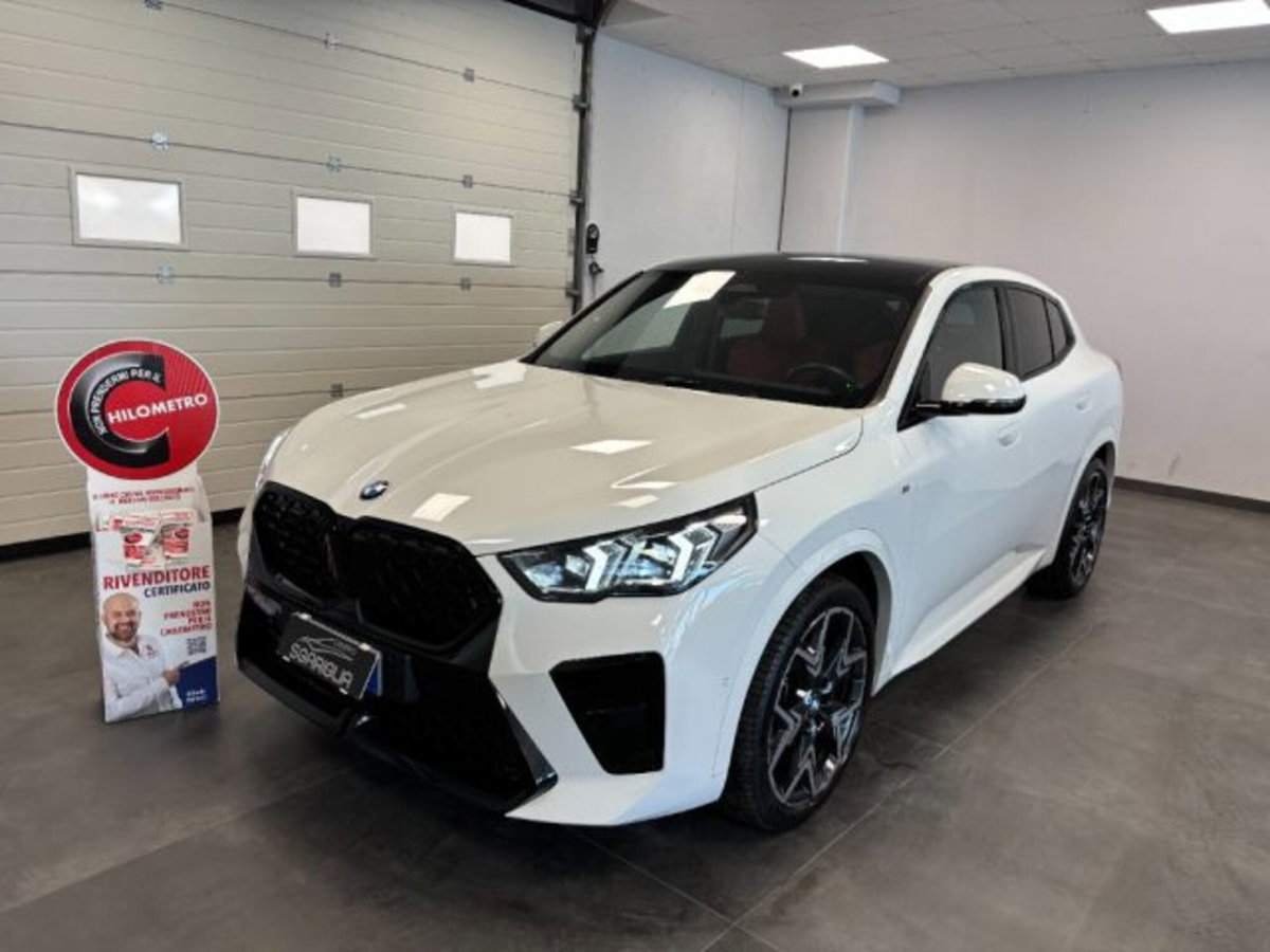 BMW X2 sdrive 18d MSport Pro auto (3)