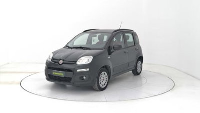 Fiat Panda 1.2 Lounge usata