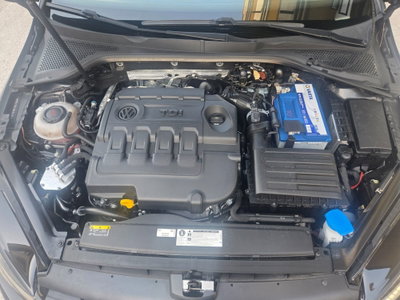 Volkswagen Golf 1.6 TDI 115 CV 5p. Executive BlueMotion Technology (20)