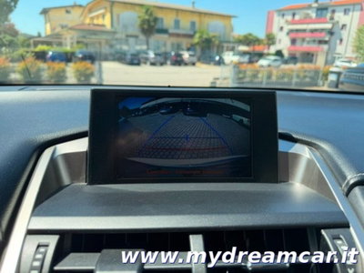 Lexus NX Hybrid 4WD Executive (11)