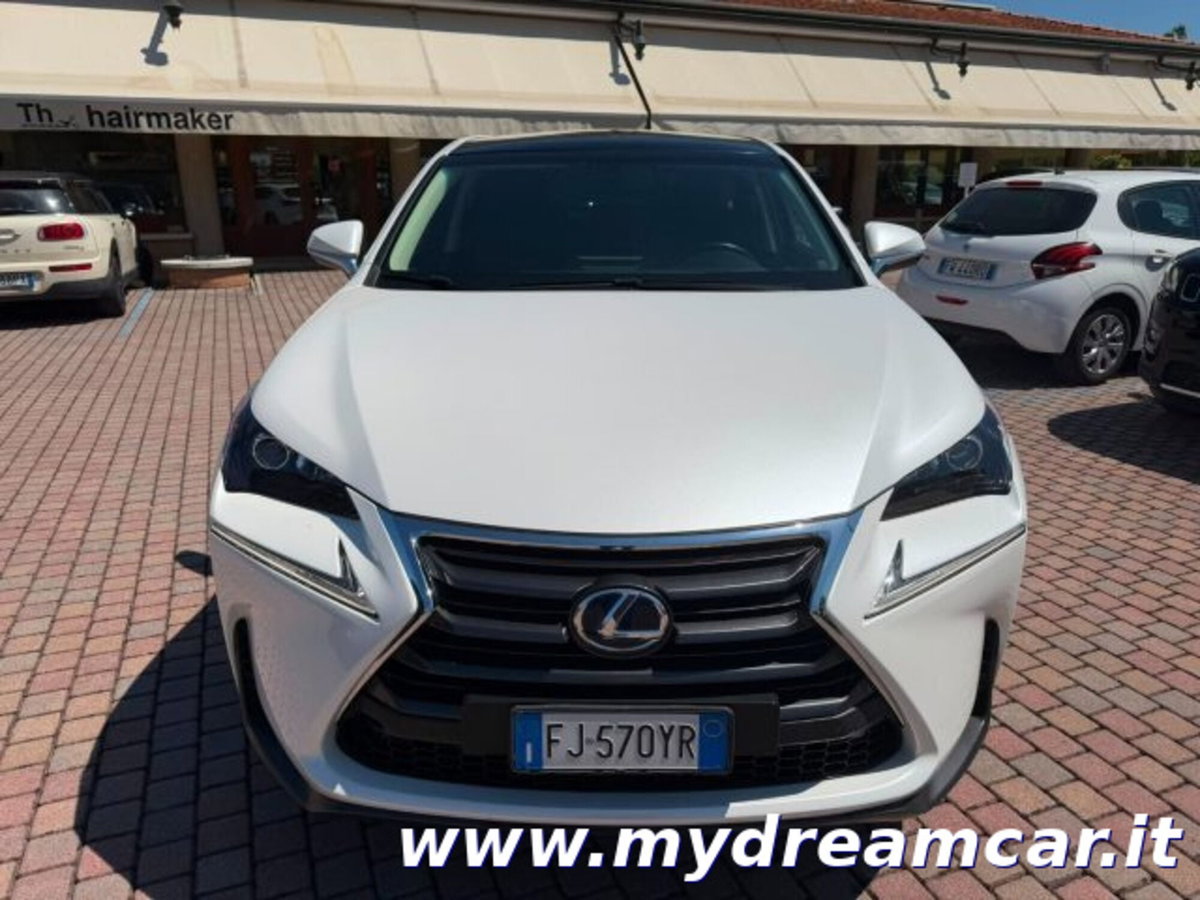 Lexus NX Hybrid 4WD Executive (13)