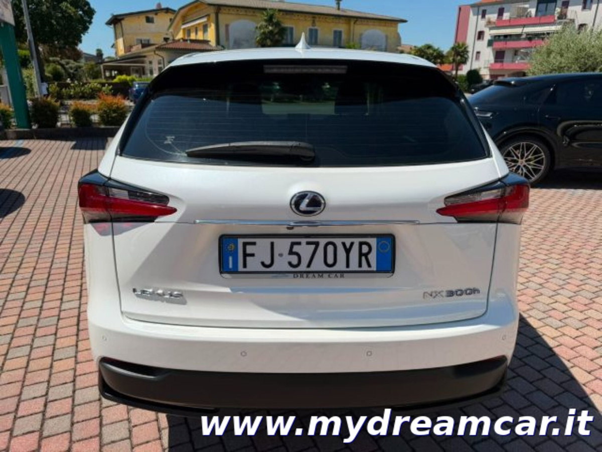 Lexus NX Hybrid 4WD Executive (14)