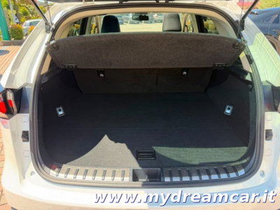 Lexus NX Hybrid 4WD Executive (16)