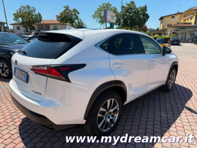 Lexus NX Hybrid 4WD Executive (4)