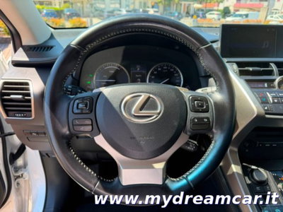 Lexus NX Hybrid 4WD Executive (6)
