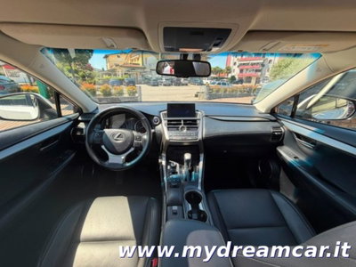 Lexus NX Hybrid 4WD Executive (9)