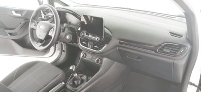 Ford Fiesta Active 1.5 EcoBlue (11)