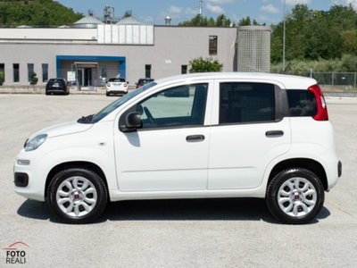 Fiat Panda 0.9 TwinAir Turbo Natural Power Pop Van 2 posti (7)