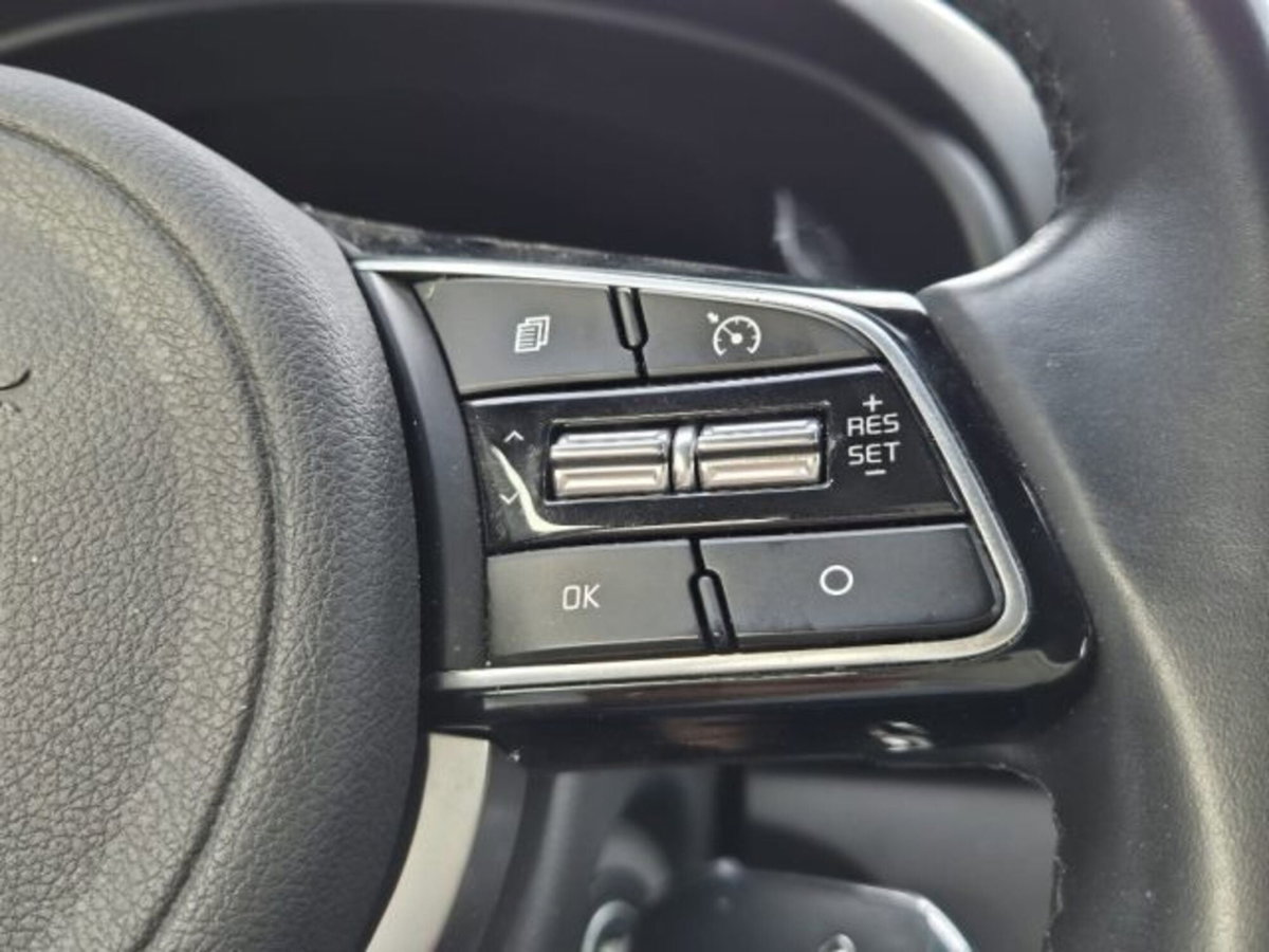 Kia Sportage 1.6 CRDI 115 CV 2WD Mild Hybrid Business Class (3)