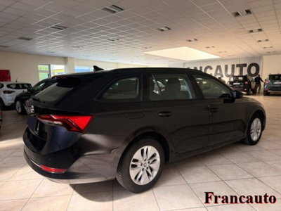 Skoda Octavia Station Wagon 2.0 TDI EVO SCR 150 CV DSG 4x4 Wagon Executive (3)