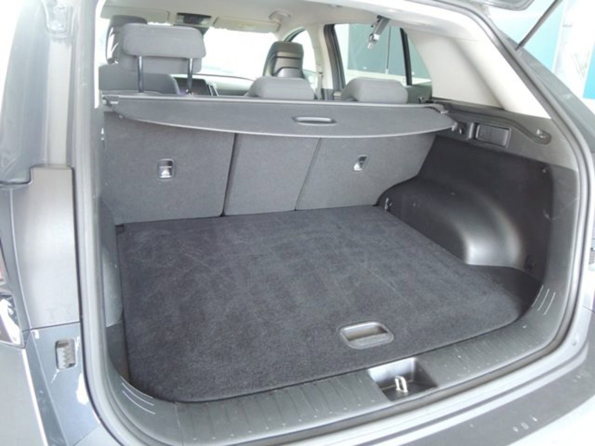 Kia Sportage 1.6 crdi mhev Style dct (15)