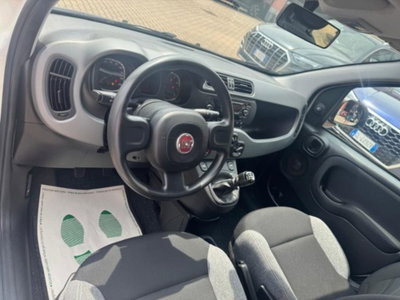 Fiat Panda 1.0 firefly hybrid s&s 70cv 5p.ti (10)