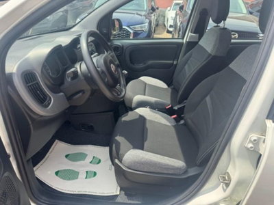 Fiat Panda 1.0 firefly hybrid s&s 70cv 5p.ti (11)