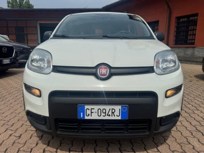 Fiat Panda 1.0 firefly hybrid s&s 70cv 5p.ti (2)