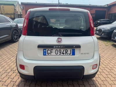 Fiat Panda 1.0 firefly hybrid s&s 70cv 5p.ti (7)