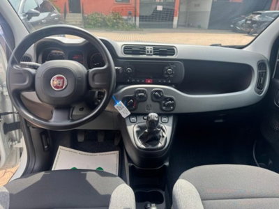 Fiat Panda 1.0 firefly hybrid s&s 70cv 5p.ti (8)