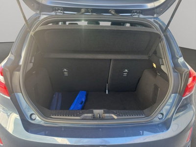 Ford Fiesta 1.0 Ecoboost 95 CV 5 porte ST-Line (15)