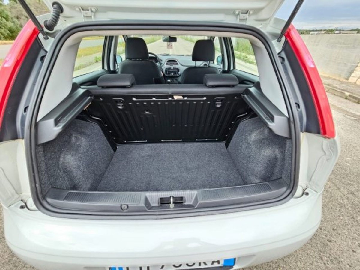 Fiat Punto 1.3 MJT 95CV S&S MTA 5 porte Van Easy 4 posti (8)