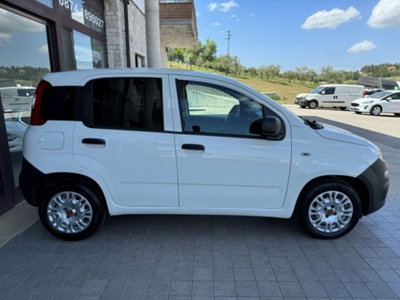 Fiat Panda 1.3 MJT 4x4 Pop Van 2 posti (13)