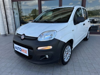 Fiat Panda 1.3 MJT 4x4 Pop Van 2 posti (3)