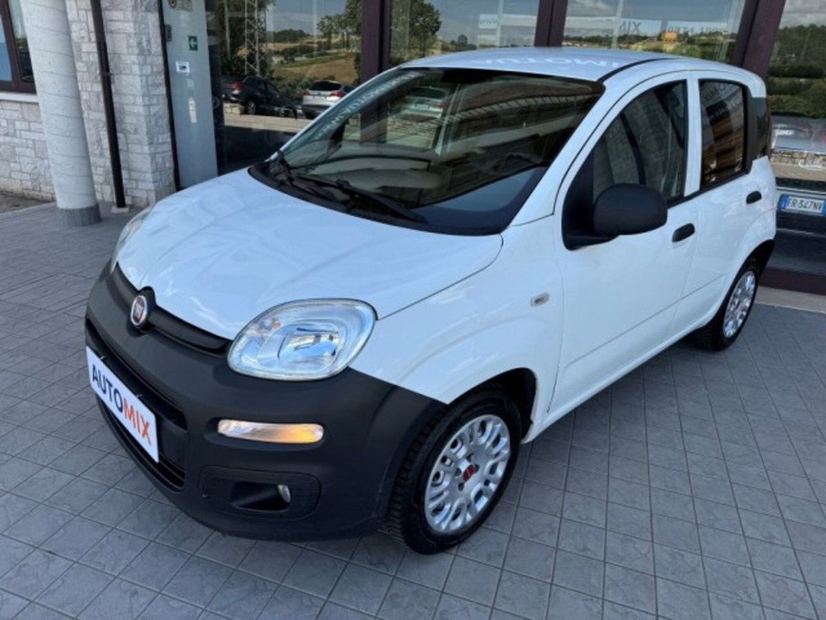 Fiat Panda 1.3 MJT 4x4 Pop Van 2 posti (4)