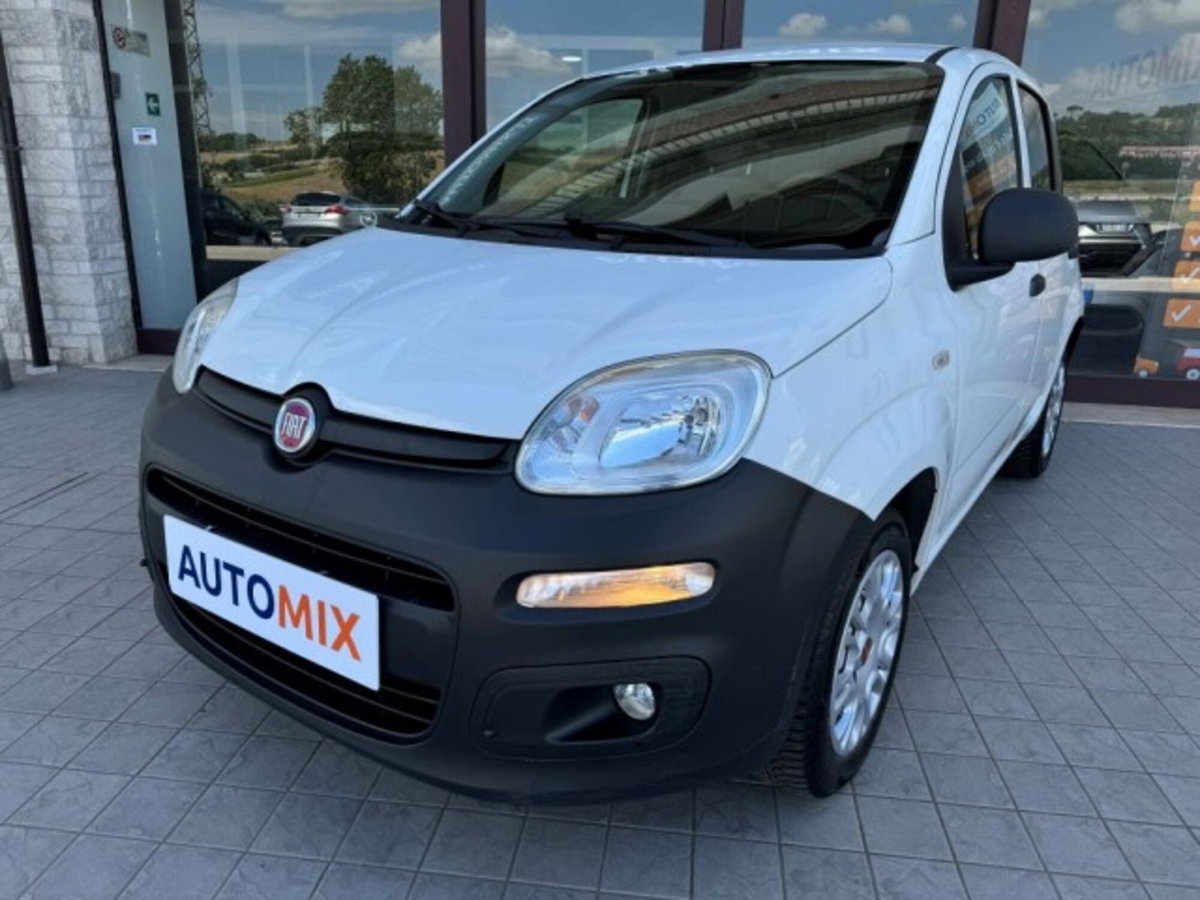 Fiat Panda 1.3 MJT 4x4 Pop Van 2 posti (5)