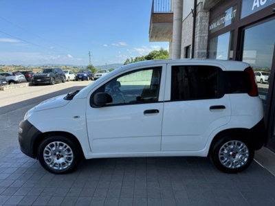 Fiat Panda 1.3 MJT 4x4 Pop Van 2 posti (9)