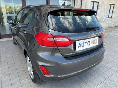Ford Fiesta 1.5 TDCi 5 porte Plus (18)