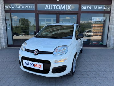 Fiat Panda 1.0 FireFly S&S Hybrid usata