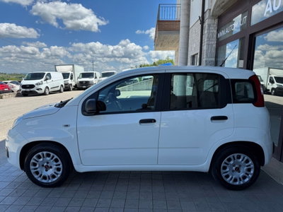 Fiat Panda 1.0 FireFly S&S Hybrid (4)