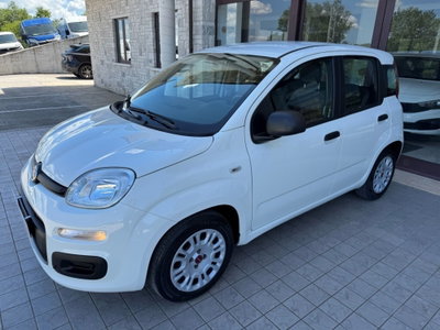 Fiat Panda 1.0 FireFly S&S Hybrid (5)