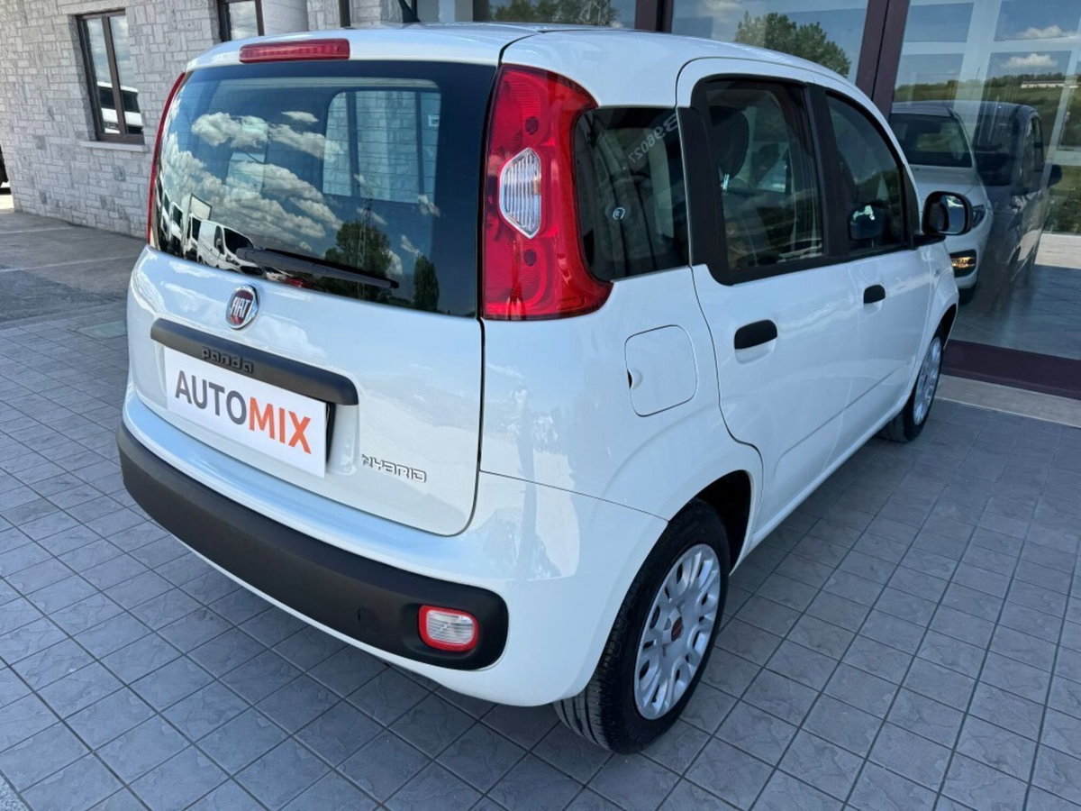 Fiat Panda 1.0 FireFly S&S Hybrid (8)