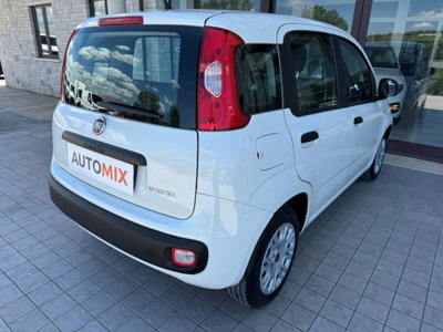 Fiat Panda 1.0 FireFly S&S Hybrid (8)