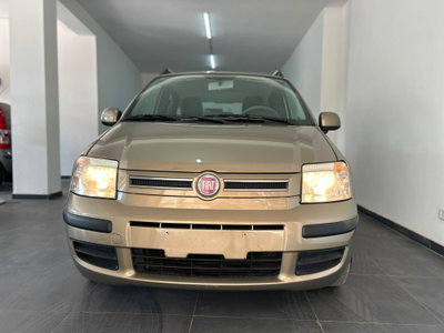 Fiat Panda 1.2 Dynamic usata