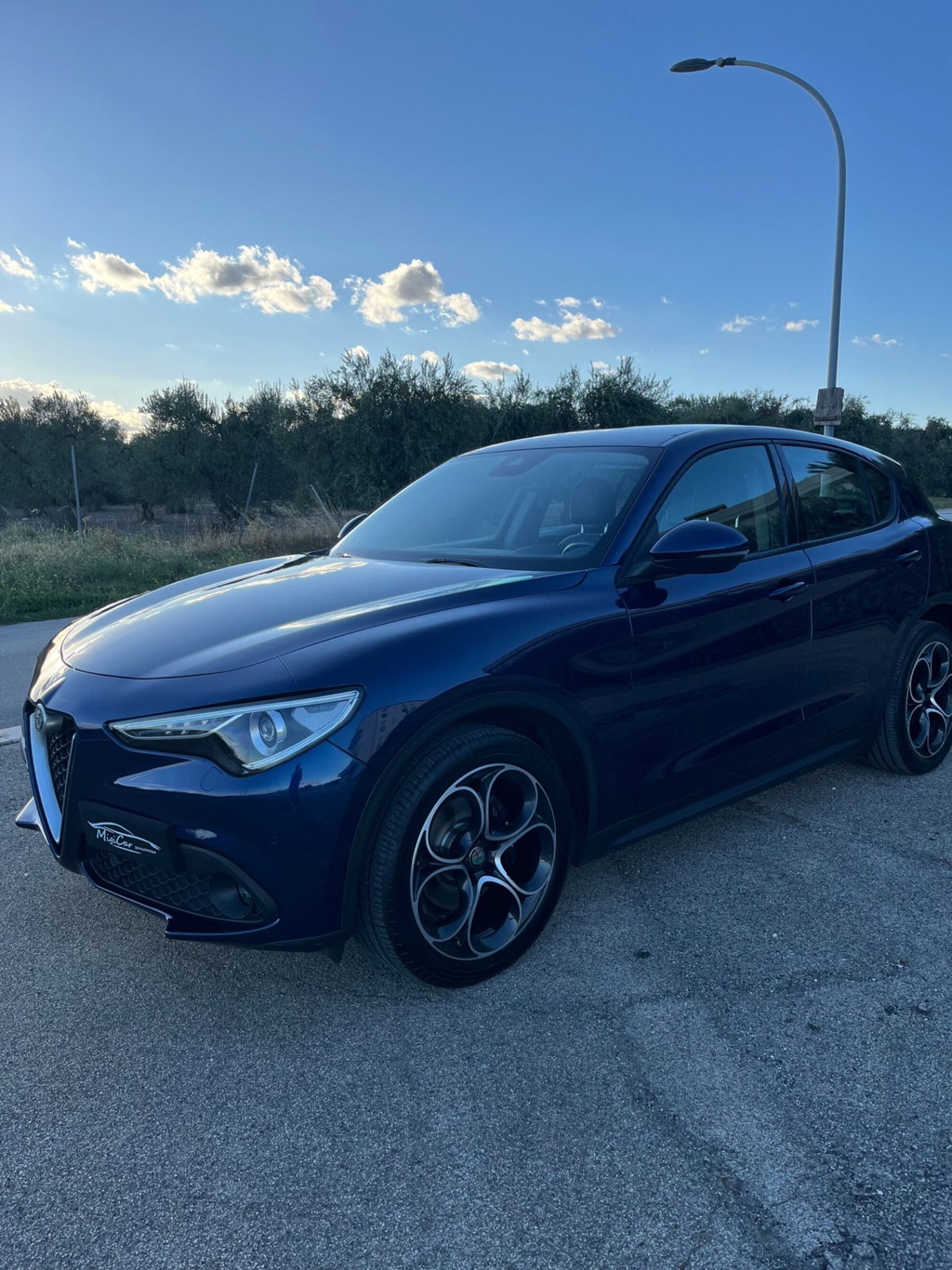Alfa Romeo Stelvio Stelvio 2.2 Turbodiesel 190 CV AT8 RWD Executive (14)