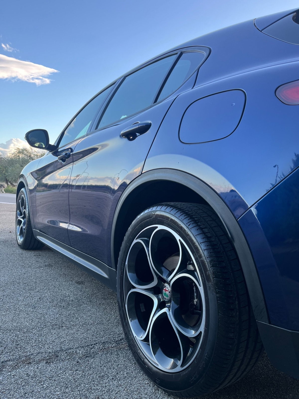 Alfa Romeo Stelvio Stelvio 2.2 Turbodiesel 190 CV AT8 RWD Executive (6)