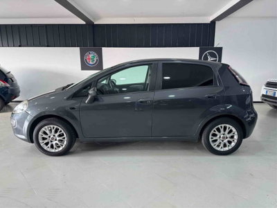 Fiat Punto Evo 1.2 5 porte S&S Dynamic (5)