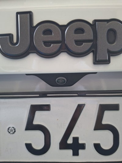 Jeep Renegade 1.3 T4 DDCT S (19)