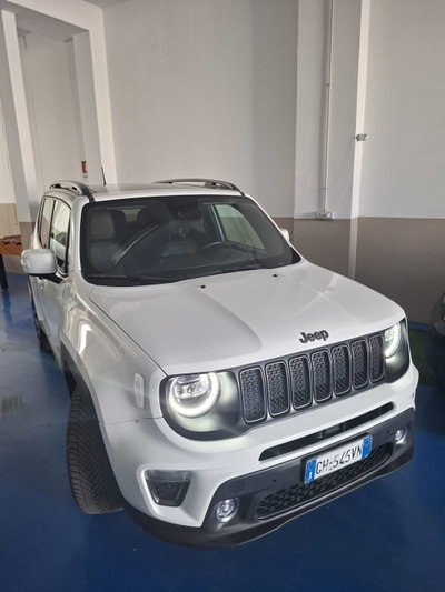 Jeep Renegade 1.3 T4 DDCT S (8)