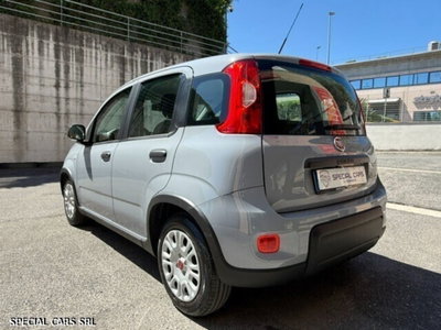 Fiat Panda Cross Cross 1.0 FireFly S&S Hybrid (7)