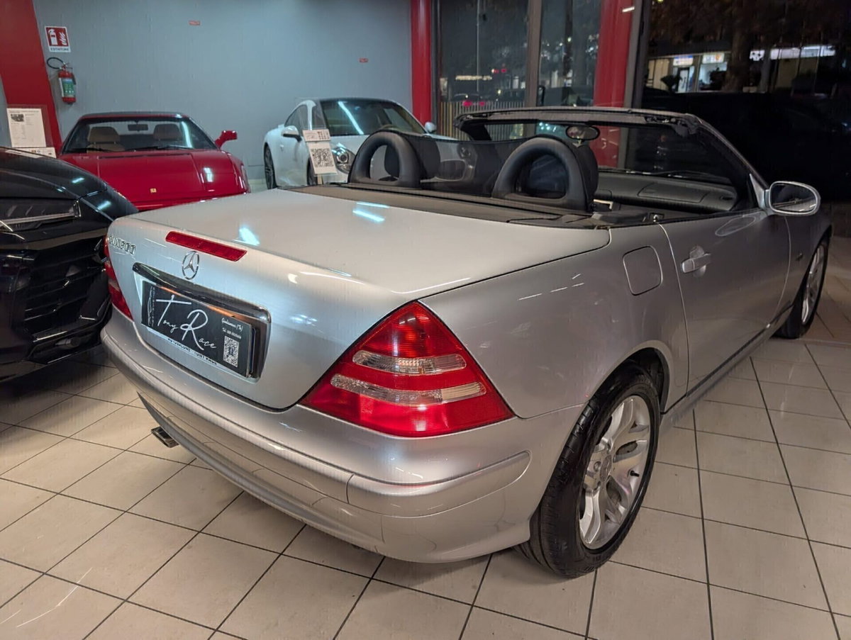 Mercedes-Benz SLK 200 Kompressor cat (12)